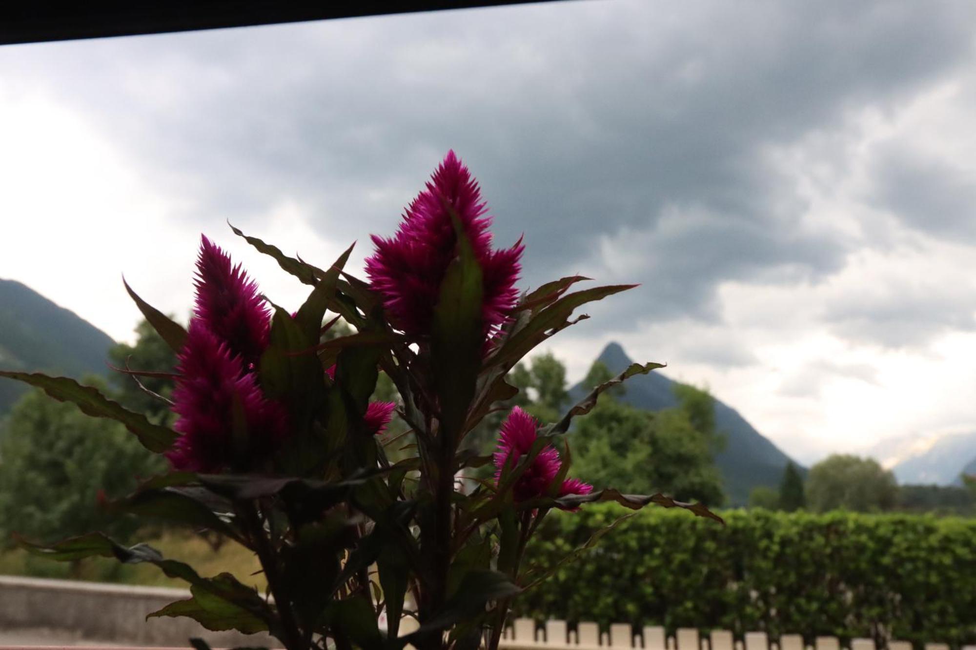 Apartma Buon