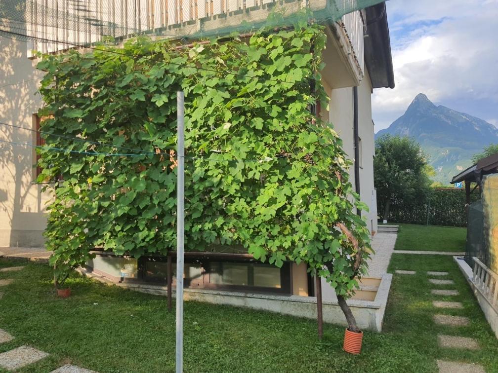 Apartment Apartma Buon